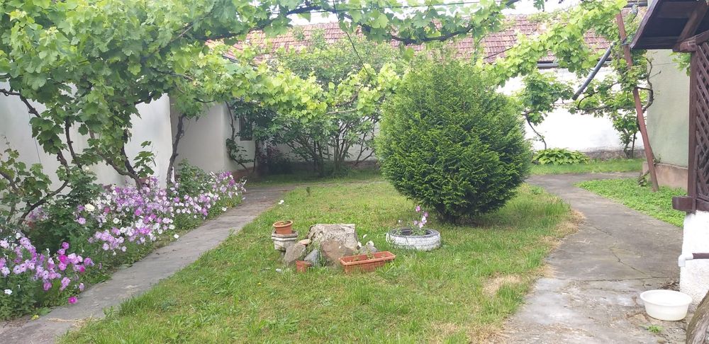 Vând casa direct de la proprietar
