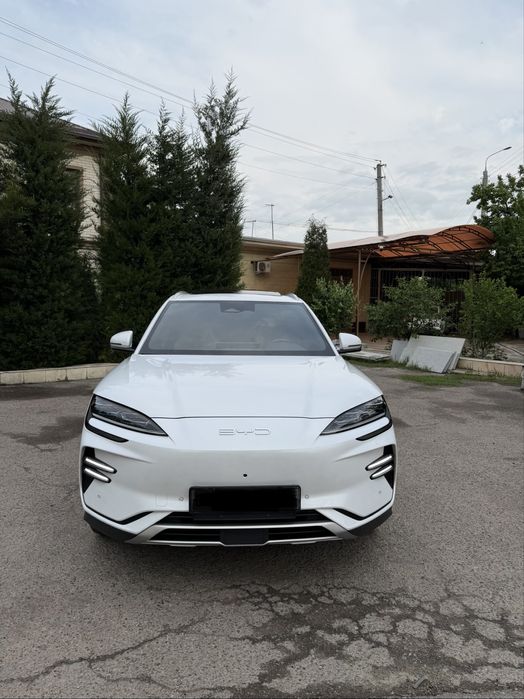 BYD Другая 2024