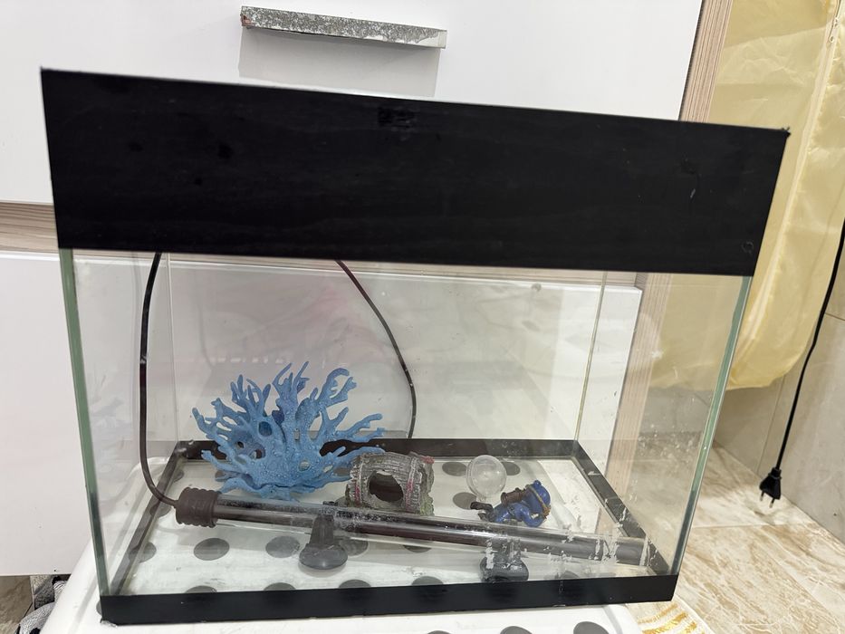 Продам аквариум с декором