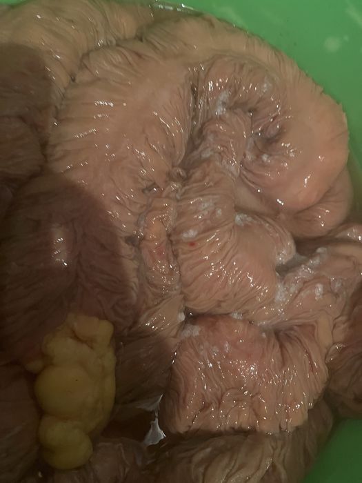 Карта,карын,жир конины