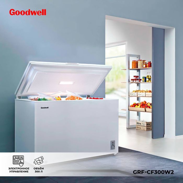 Морозильное камера ларь Goodwell GCF197W invertor