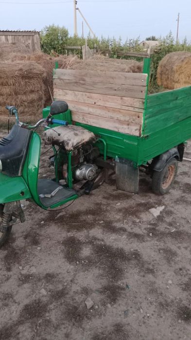 Моторолер муровей