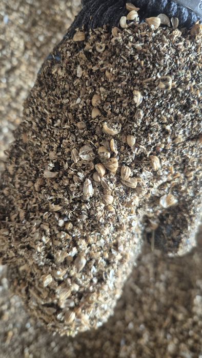 Продам отходы льна