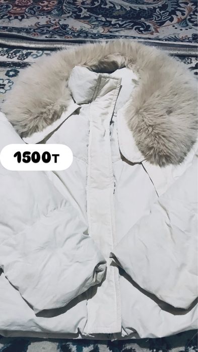 Одежды нызкое цены