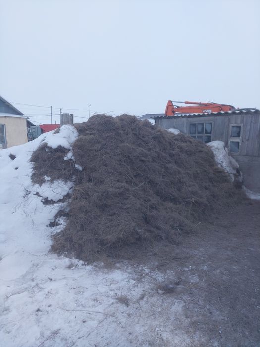 Шоп сено бесплатно