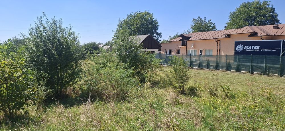 Teren de vanzare in Valea Voievozilor