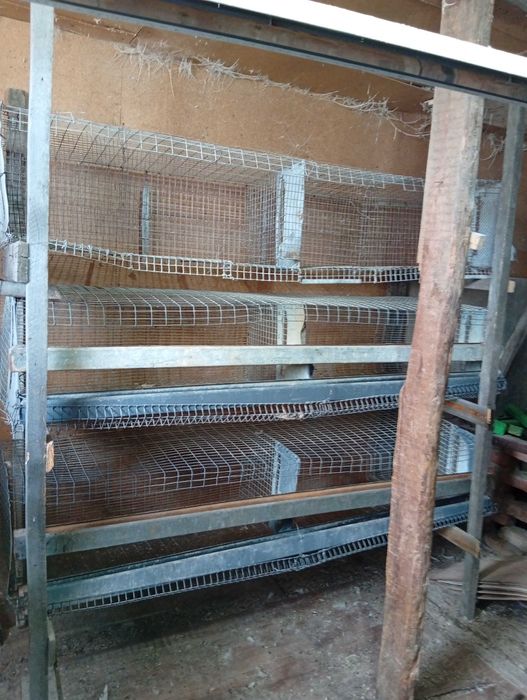 Клетки для курей