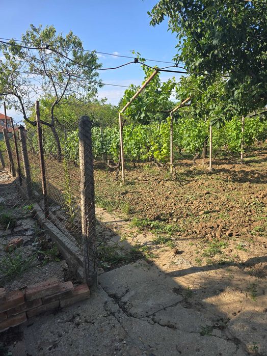 Продава се Къща в с. Калипетрово, Област Силистра - 45 кв.м за 680 €/кв.м - Снимка #3