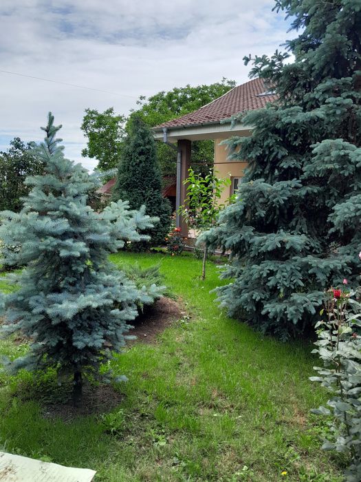 Casa de vanzare in judetul Olt