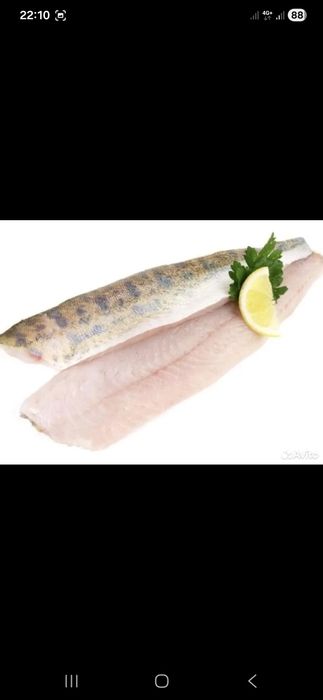 Филе щуки оптом !!!