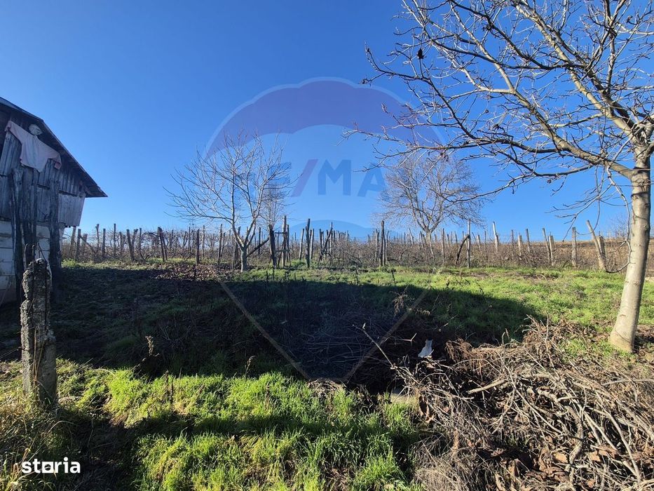 Casă de vânzare cu 4 camere si anexe in Horgești-Recea