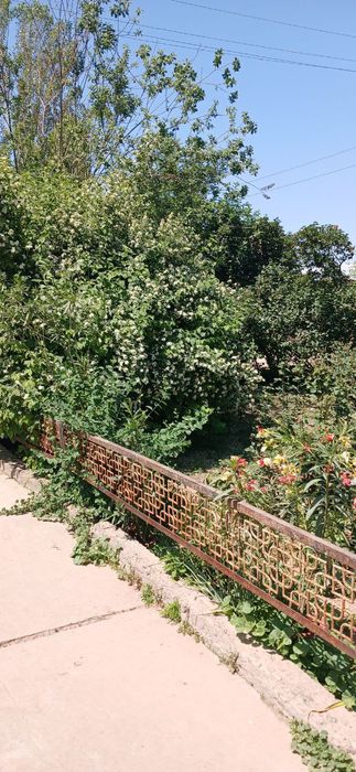 Продаётся дом с большим участком 20 соток