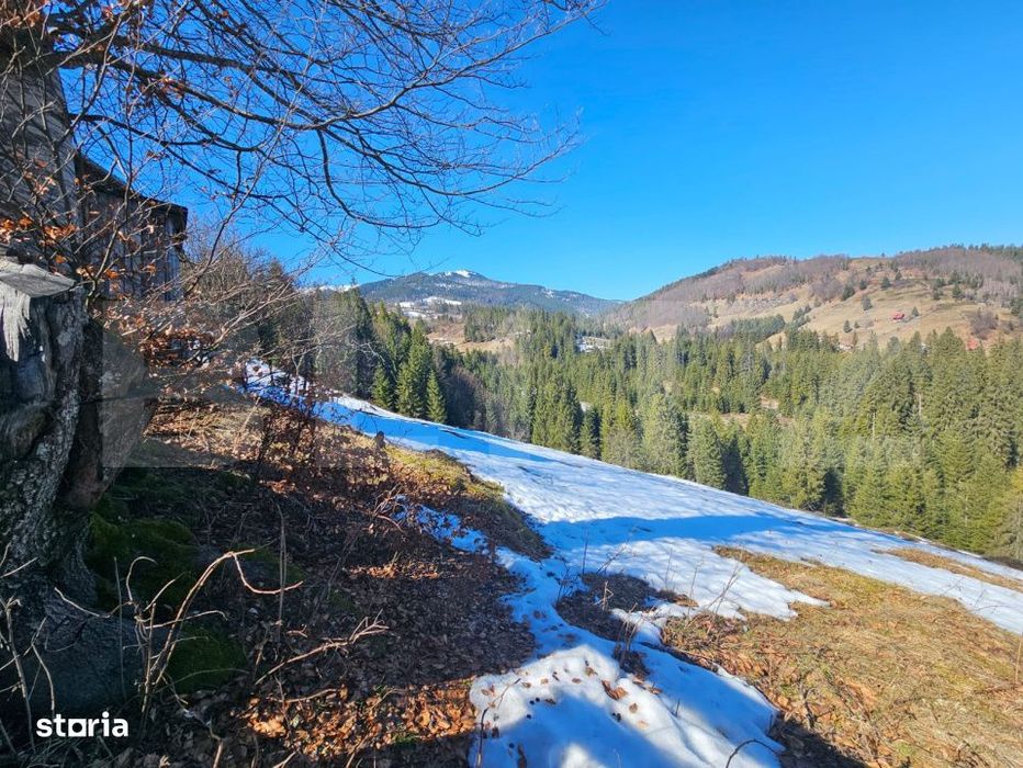 Teren 2 ha, cu padure proprie si panorama spre munti, Arieşeni