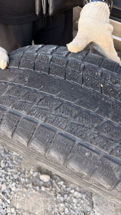 Продаю шины DUNLOP