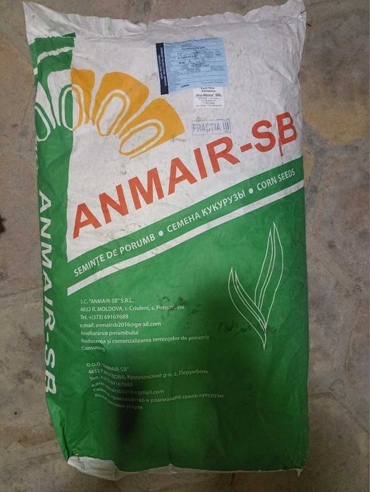 Продам семена кукурузы