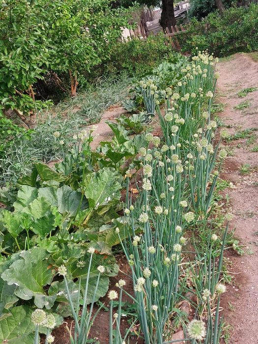 Торангылык 130 м2