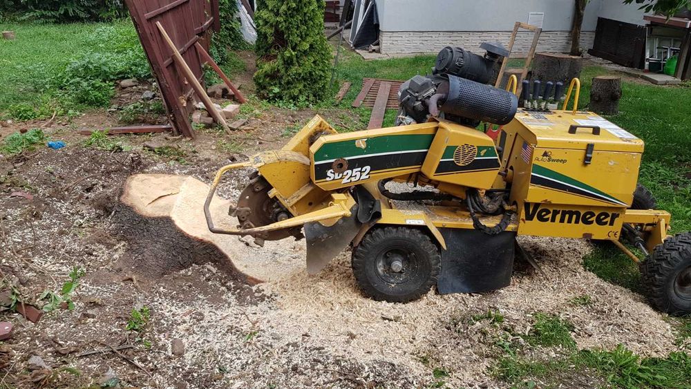 Inchiriere utilaj Excavator, Bobcat, Basculanta, Tocator vegetale