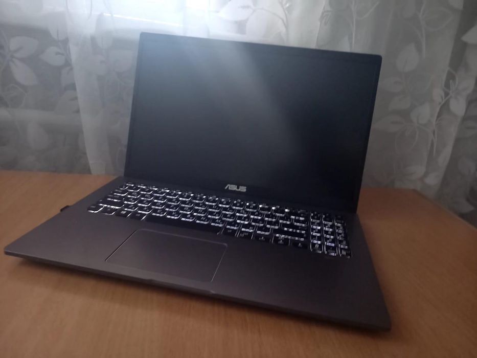 Ноутбук ASUS VivoBook X509UB