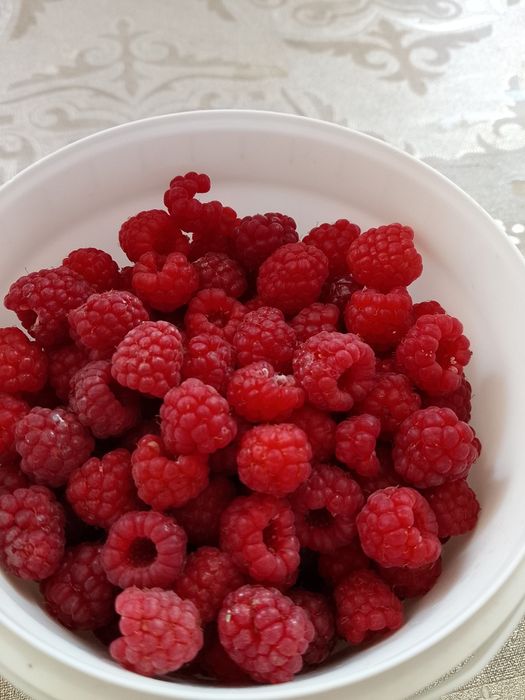 Продам домашнюю малину