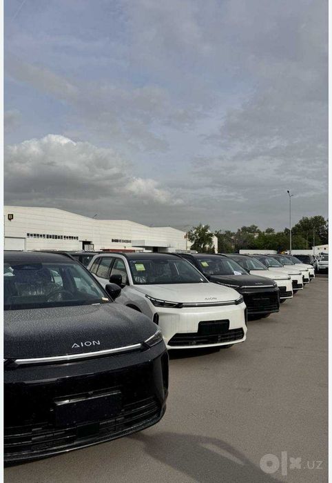 Gac Aion Electr Full Rasrochka Bor