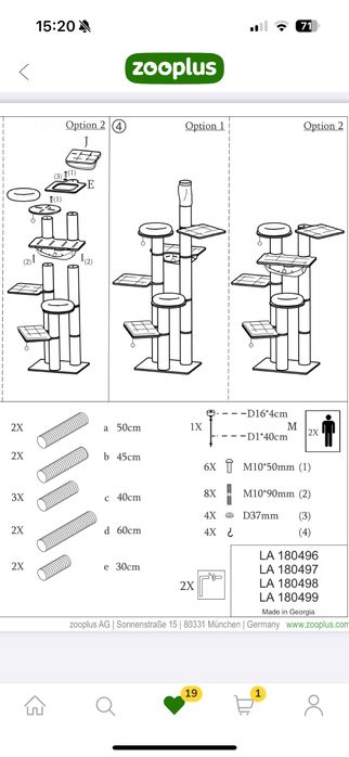 Natural Paradise Amaryllis ansamblu inalt pisici