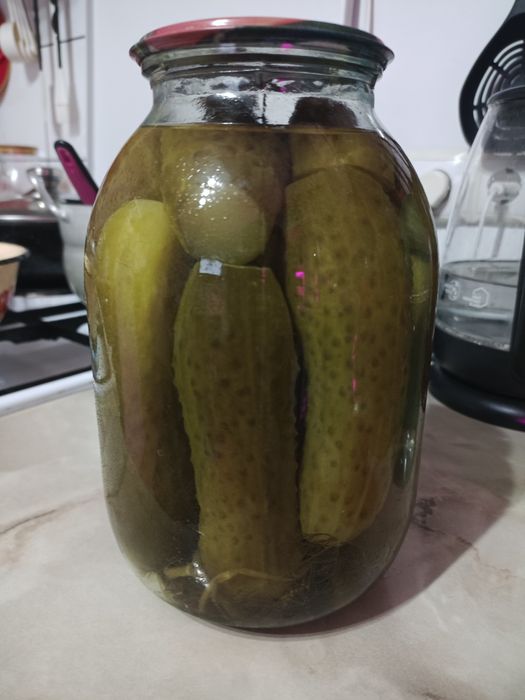 Продам домашние соленые огурцы