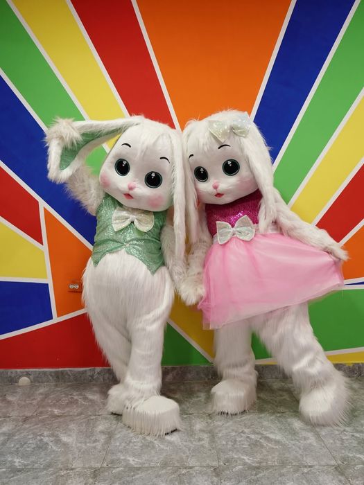 Ayiqlar sotiladi | Ayiq sotiladi