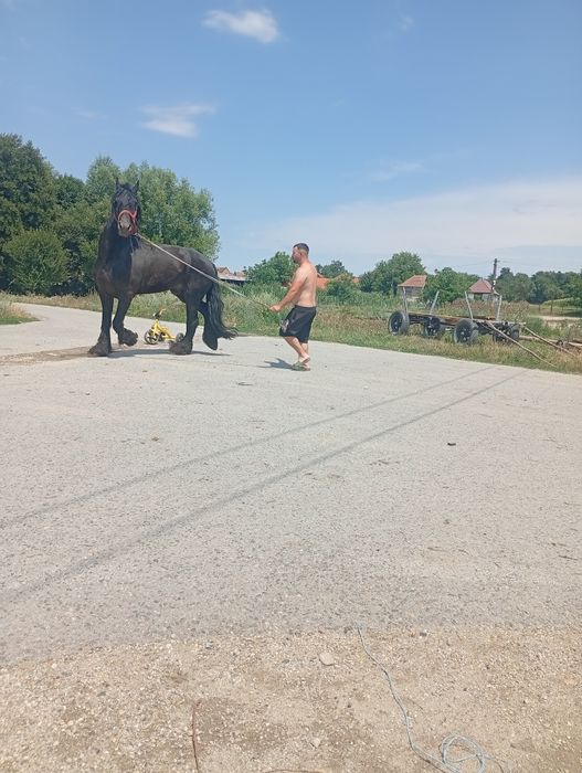 Vand//și de monta