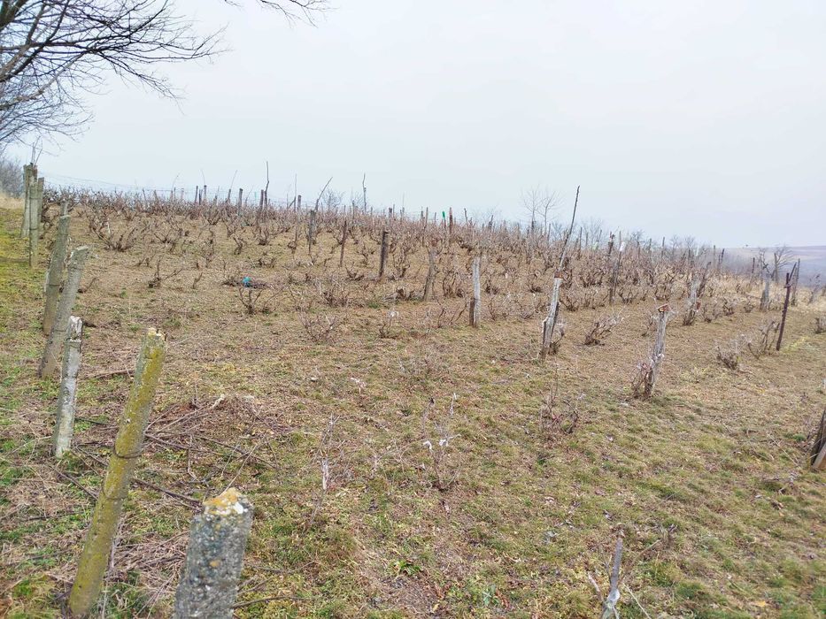 CASA + 3400 teren intravilan , IASI_HOISESTI_la PRET de Garsoniera