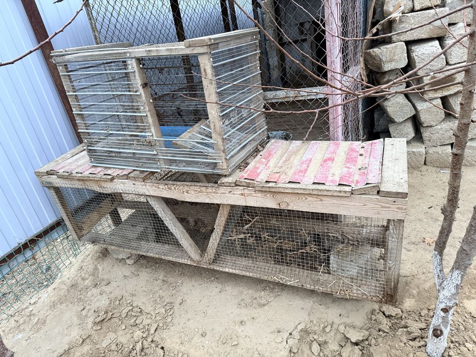 Вольер для собак.эннн