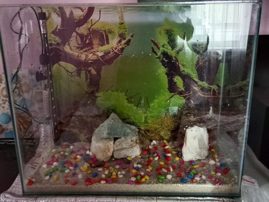 Аквариум с рыбками