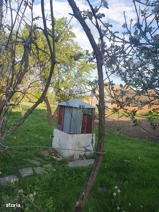 Casă de vânzare, 3 camere, curte mare, sura si grajd, teren 2600 mp
