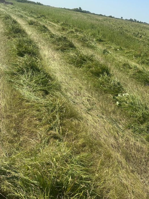 Продам сено луговое 2025 г покос.