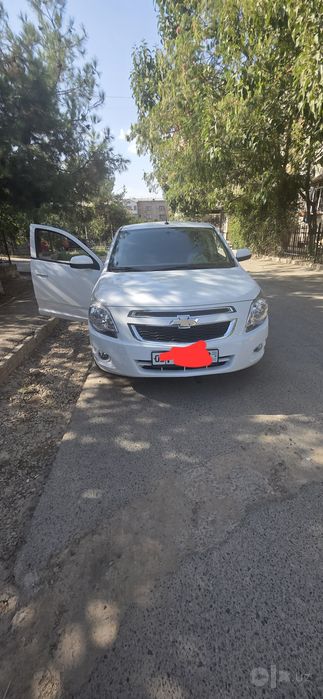 Srochna Cobalt 2023 yil top toza
