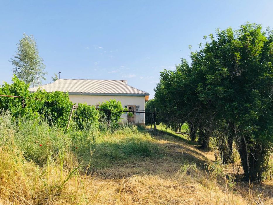 HOVLI SOTILADI  24sotix 8xonali yashashga tayyor