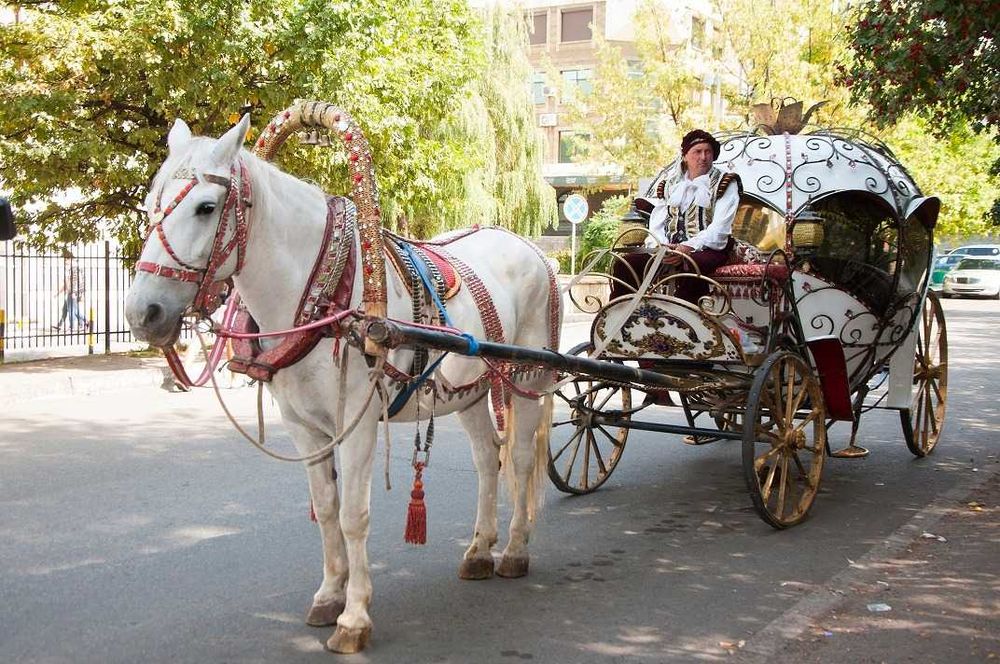 карета, фаэтоны "Золушка" "Диана"