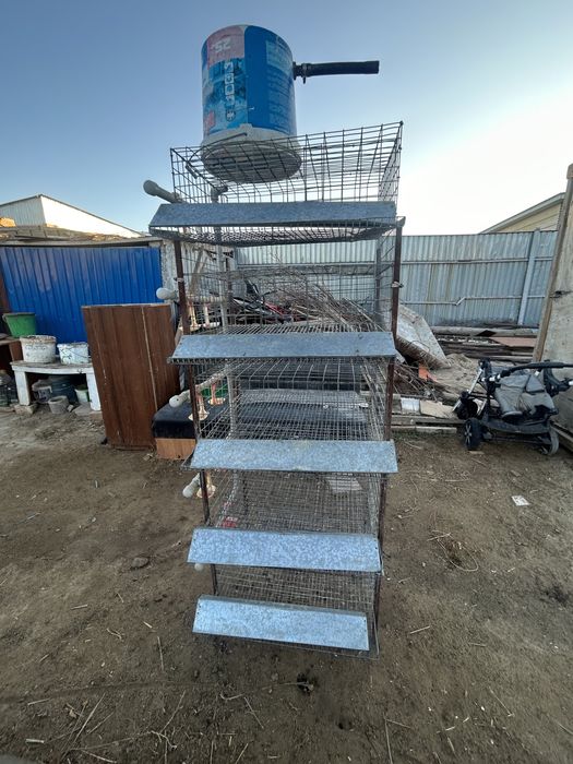 Бөдене сетка брудер Перепелка