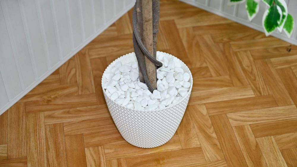 Plante si copaci artificiali + Cadou