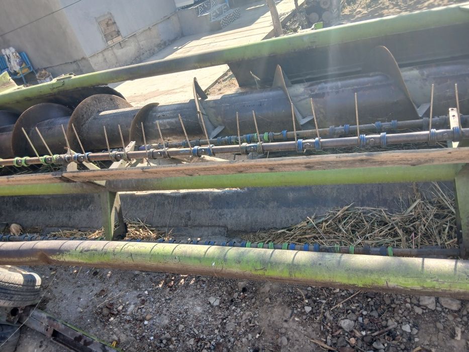 Germania 303 niki zor holati