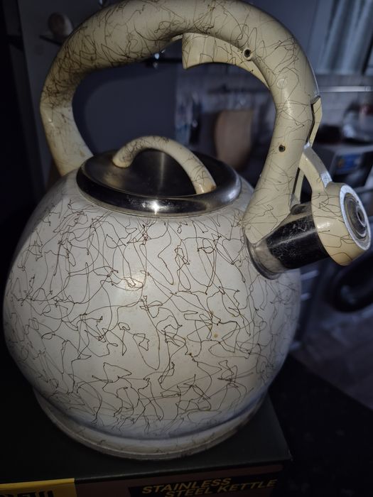 Чайник ZWILLON 3.0 L