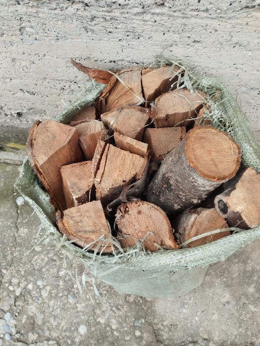 Дайын отын бар агаш