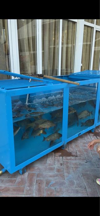 Аквариум баликлар учун  3x1x1 3 тонналик