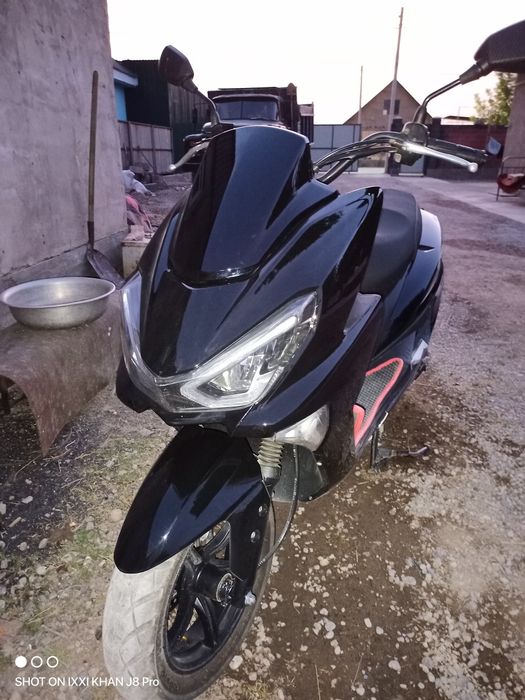 Макси jinxin 150