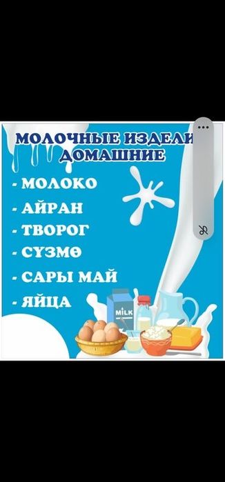 Домашний молоко Үйдің сүті