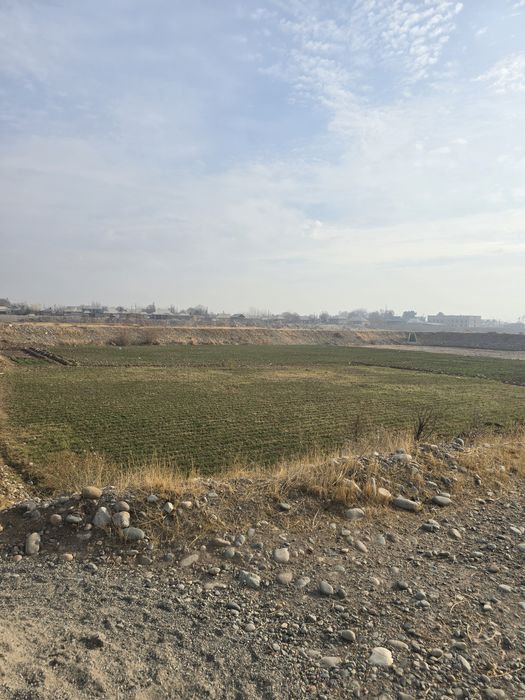 Ijara ko'l beriladi hamma sharoiti bor