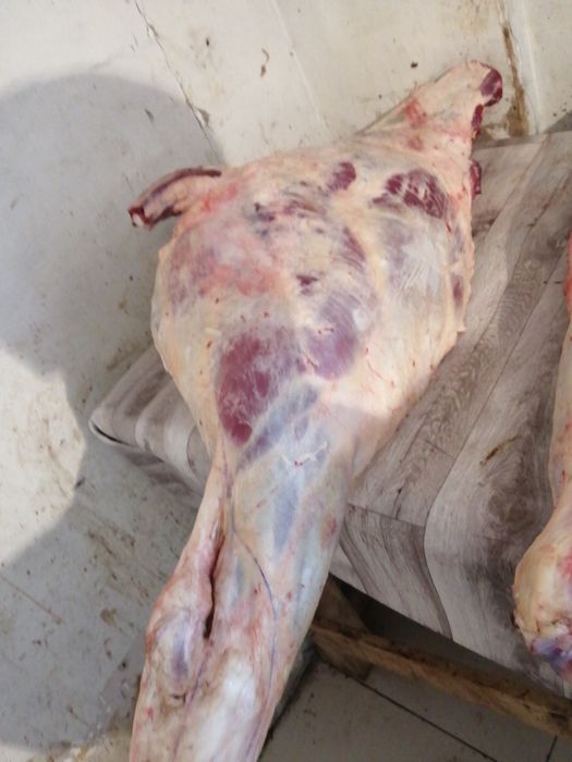 Мясо говядина молодняк