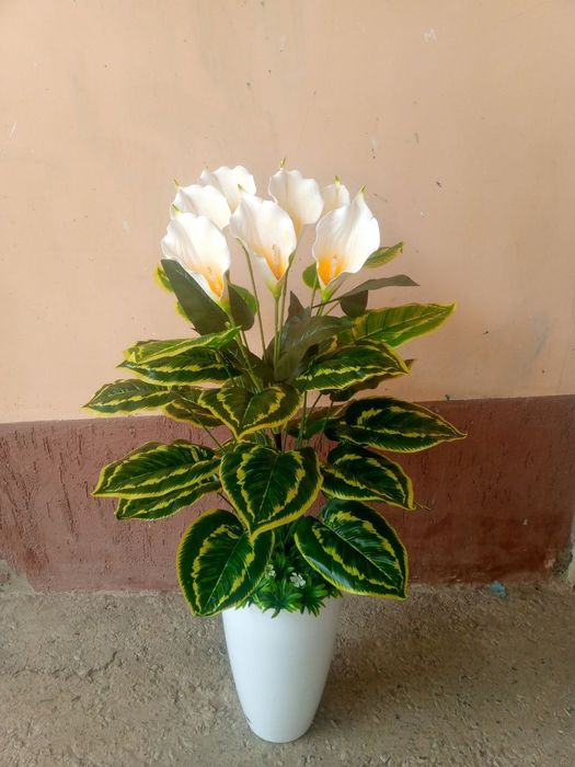 Suniy gullar optom narxlarda