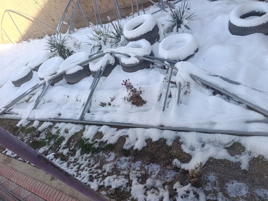 Теплисага арркаа