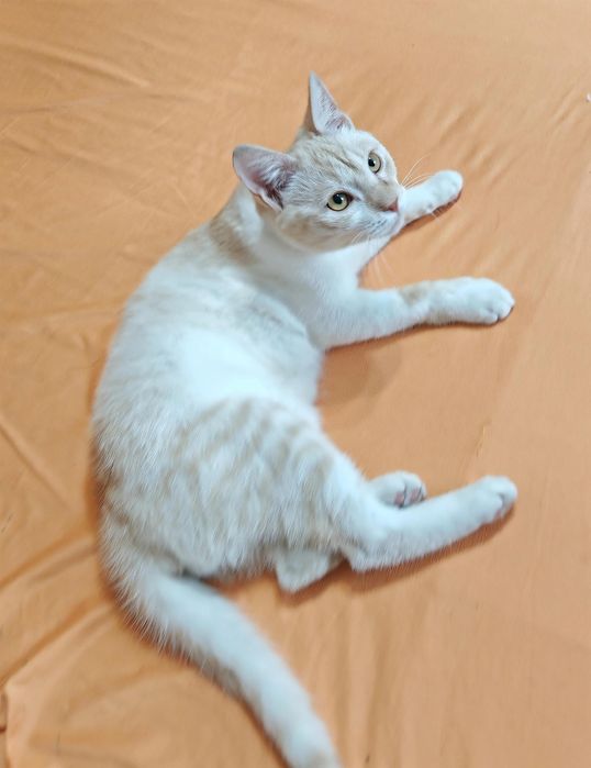 Мальчик 7 месяцев