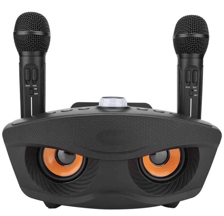 Беспроводная караоке система SDRD SD-306